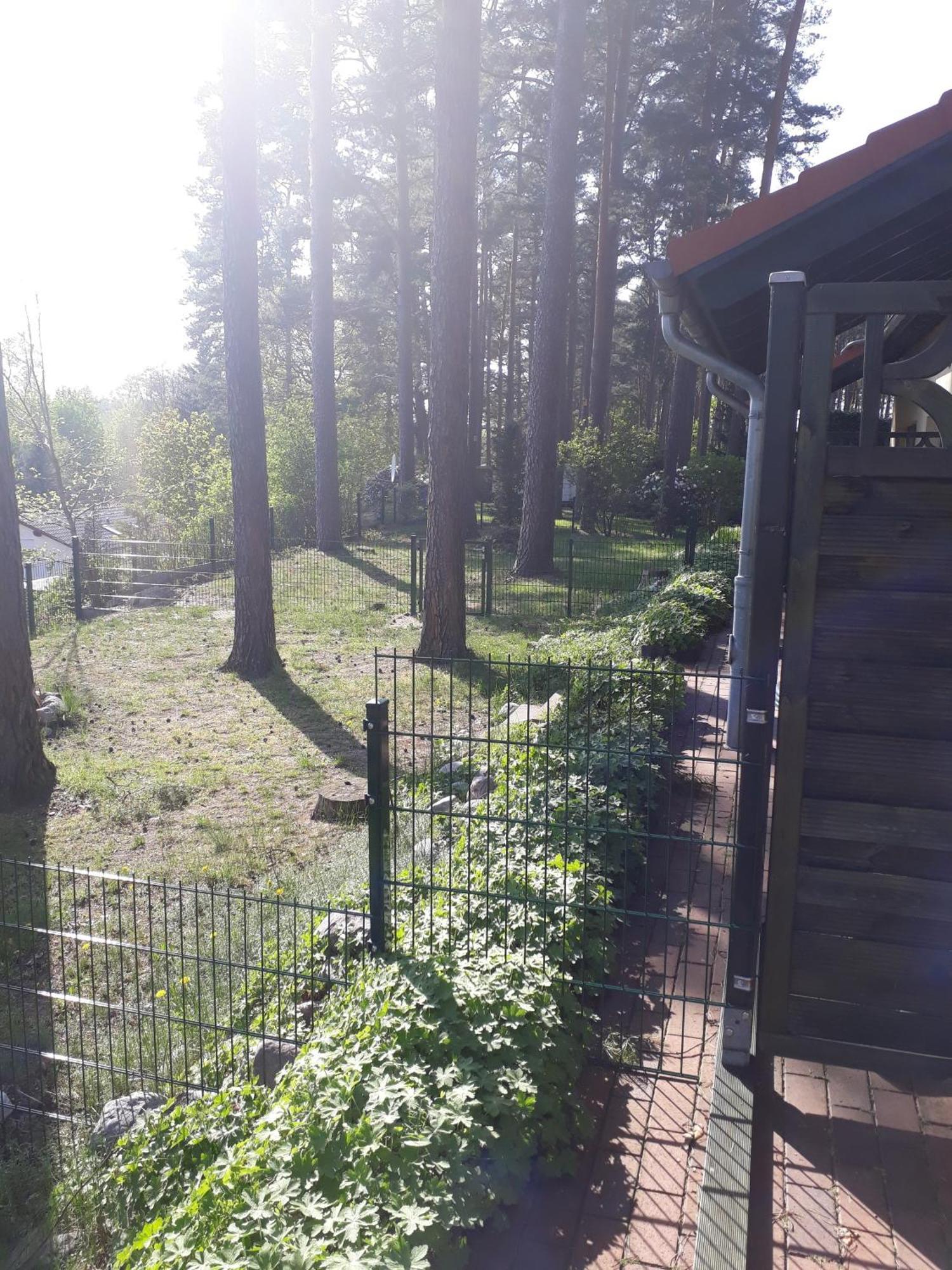 Ferienhaus Waldschneise B Am Jabeler See Exteriör bild
